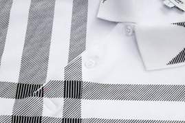 Picture of Burberry Polo Shirts Short _SKUBurberryM-3XL25wr0429395